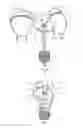 Fig. 06 - LED LAMP