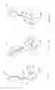 Fig. 12 - Electric lighting devices