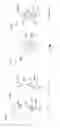 Fig. 30 - Electric lighting devices