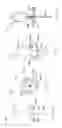Fig. 40 - Electric lighting devices