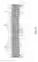 Fig. 07 - BUILDING CLADDING HEATER APPARATUS AND SYSTEM