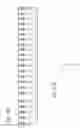 Fig. 11 - Refrigerant management in HVAC systems