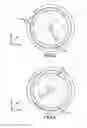 Fig. 04 - Round heat exchanger