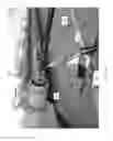 Fig. 09 - ELECTRIC HYDRAULIC BORE CLEANER SYSTEM