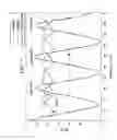 Fig. 10 - Displaying walking signals variously rotated, estimating variance, vertical, lateral direction