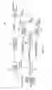 Fig. 17 - Displaying walking signals variously rotated, estimating variance, vertical, lateral direction