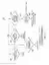 Fig. 19 - Displaying walking signals variously rotated, estimating variance, vertical, lateral direction