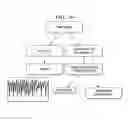 Fig. 27 - Displaying walking signals variously rotated, estimating variance, vertical, lateral direction