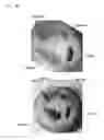 Fig. 09 - IMAGING SYSTEM AND IMAGING METHOD