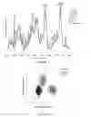Fig. 02 - APPARATUS AND METHOD FOR DISTINGUISHING BETWEEN DIFFERENT TISSUE TYPES USING SPECIFIC RAMAN SPECTRAL REGIONS