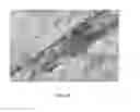 Fig. 09 - Strain mapping in TEM using precession electron diffraction