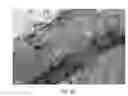 Fig. 11 - Strain mapping in TEM using precession electron diffraction