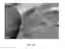Fig. 12 - Strain mapping in TEM using precession electron diffraction
