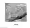 Fig. 14 - Strain mapping in TEM using precession electron diffraction