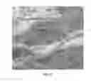 Fig. 16 - Strain mapping in TEM using precession electron diffraction