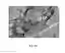 Fig. 18 - Strain mapping in TEM using precession electron diffraction