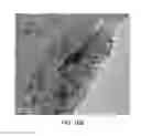 Fig. 22 - Strain mapping in TEM using precession electron diffraction