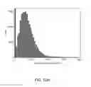 Fig. 28 - Strain mapping in TEM using precession electron diffraction