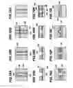 Fig. 12 - Molecular characterization device