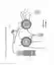 Fig. 02 - Multi-position, micro-fluidic valve assembly with multiple radial grooves to enable individual or combined flows