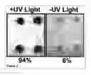 Fig. 06 - Methods and compositions for phototransfer