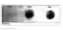 Fig. 09 - Methods and compositions for phototransfer
