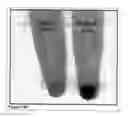 Fig. 24 - Methods and compositions for phototransfer