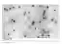 Fig. 27 - Methods and compositions for phototransfer
