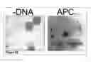 Fig. 33 - Methods and compositions for phototransfer