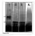 Fig. 37 - Methods and compositions for phototransfer