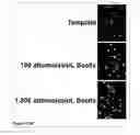 Fig. 45 - Methods and compositions for phototransfer