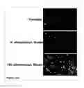 Fig. 47 - Methods and compositions for phototransfer