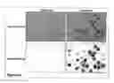 Fig. 56 - Methods and compositions for phototransfer