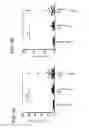 Fig. 03 - Method for predicting post-therapy prognosis of relapsing-remitting multiple sclerosis (RRMS) patient, and method for determining applicability of novel therapy