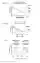 Fig. 06 - Method of detecting the presence or absence of autoantibodies