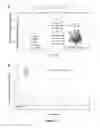 Fig. 10 - Methods for assaying cellular binding interactions