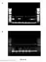 Fig. 25 - Methods for assaying cellular binding interactions