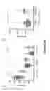 Fig. 08 - MARKERS FOR LONG-TERM KIDNEY GRAFT DYSFUNCTION