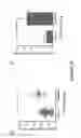 Fig. 09 - MARKERS FOR LONG-TERM KIDNEY GRAFT DYSFUNCTION