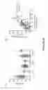 Fig. 10 - MARKERS FOR LONG-TERM KIDNEY GRAFT DYSFUNCTION
