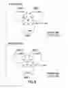Fig. 09 - Method of Diagnosis or Prognosis of a Neoplasm Comprising Determining the Level of Expression of a Protein in Stromal Cells Adjacent to the Neoplasm
