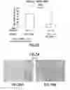 Fig. 35 - Method of Diagnosis or Prognosis of a Neoplasm Comprising Determining the Level of Expression of a Protein in Stromal Cells Adjacent to the Neoplasm