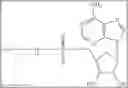 Fig. 10 - Design, synthesis and use of synthetic nucleotides comprising charge mass tags