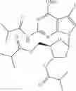 Fig. 77 - Design, synthesis and use of synthetic nucleotides comprising charge mass tags