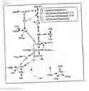 Fig. 11 - Method for analysis of compounds with amino group and analytical reagent therefor