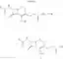 Fig. 49 - Optically-Detectable Enzyme Substrates and Their Method of Use