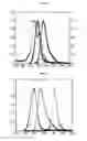 Fig. 03 - RATIOMETRIC ASSAY FOR HYDROLYTIC ENZYME QUANTIFICATION