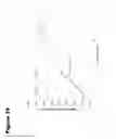Fig. 23 - METHODS FOR MEASURING THE METABOLISM OF NEURALLY DERIVED BIOMOLECULES IN VIVO