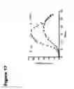 Fig. 25 - METHODS FOR MEASURING THE METABOLISM OF NEURALLY DERIVED BIOMOLECULES IN VIVO
