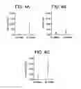 Fig. 05 - METHODS FOR DIAGNOSING AND ASSESSING NEUROLOGICAL DISEASES